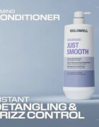 Goldwell Dualsenses Just Smooth Taming Conditioner balzam za glajenje las 1000 ml