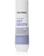 Goldwell Dualsenses Just Smooth Taming Shampoo šampon za glajenje las 250 ml