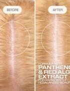 Goldwell Dualsenses Scalp Specialist Rebalance & Hydrate Fluid vlažilni fluid za obnovo lasišča 150 ml