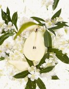 Gucci Flora Gorgeous Gardenia parfumska voda polnilna za ženske Refill 150 ml