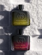 Gucci Guilty Absolu de Parfum parfum za moške 60 ml