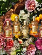 GUERLAIN Aqua Allegoria Bosca Vanilla Forte parfumska voda nadomestno polnilo za ženske 200 ml