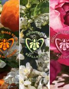 GUERLAIN Aqua Allegoria Mandarine Basilic darilni set za ženske
