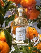 GUERLAIN Aqua Allegoria Mandarine Basilic toaletna voda polnilna za ženske 125 ml