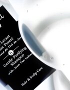 Hair Rituel by Sisley Gentle Purifying Shampoo nežni šampon za lasišče 200 ml