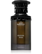 Hamidi The Lost Paradise Celestial Wood parfumska voda uniseks 100 ml
