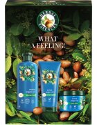 Herbal Essences Argan Oil Repair Gift Set darilni set za poškodovane lase
