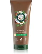 Herbal Essences Coconut Scent Hydrate balzam za prehrano in hidracijo 250 ml