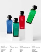 HERMÈS Colognes Collection Eau de Basilic Pourpre kolonjska voda uniseks 100 ml
