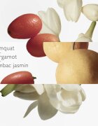HERMÈS Parfums-Jardins Collection Le Jardin de Monsieur Li toaletna voda polnilna uniseks 30 ml