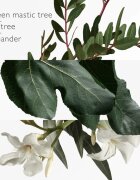 HERMÈS Parfums-Jardins Collection Un Jardin Mediterranée toaletna voda polnilna uniseks 100 ml