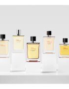HERMÈS Terre d’Hermès Eau de Parfum Intense parfumska voda intense za moške 30 ml