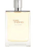 HERMÈS Terre d’Hermès Eau Givrée parfumska voda polnilna za moške 175 ml