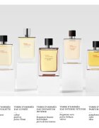 HERMÈS Terre d’Hermès Eau Intense Vétiver parfumska voda za moške 50 ml