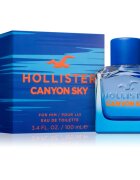 Hollister Canyon Sky For Him toaletna voda za moške 100 ml