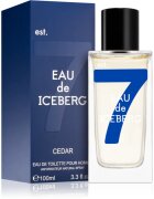 Iceberg Eau de Cedar toaletna voda za moške 100 ml