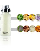 Iceberg Twice pour Homme toaletna voda za moške 125 ml