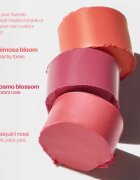 ICONIC London Blurring Blush Stick mat kremasto rdečilo odtenek Daiquiri 6 kos