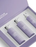 ICONIQUE Professional COOL LIKE YOU Perfect Blonde & Silver Violet Set set za nevtralizacijo rumenih odtenkov