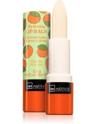 IDC INSTITUTE Skin Food balzam za ustnice odtenek Mango 3.5 g