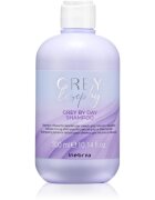 Inebrya Greylosophy Grey By Day Shampoo šampon za toniranje za sive lase 300 ml