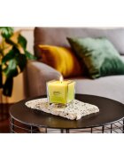 ípuro Essentials Lime Light dišeča sveča 125 g