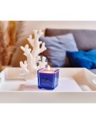 ípuro Essentials Sunny Beachtime dišeča sveča 125 g