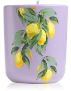 ípuro Travel The World Amalfi dišeča sveča s pokrovčkom 270 g