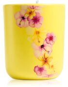 ípuro Travel The World Hawaii dišeča sveča s pokrovčkom 270 g