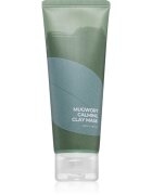 Isntree Real Mugwort globoko čistilna maska za problematično in mastno kožo 100 ml