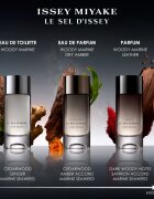 Issey Miyake Le Sel d'Issey parfum za moške 50 ml