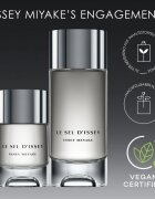 Issey Miyake Le Sel d'Issey toaletna voda za moške 150 ml