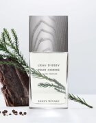 Issey Miyake L'Eau d'Issey Pour Homme parfumska voda za moške 75 ml