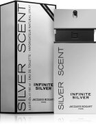 Jacques Bogart Silver Scent Infinite Silver toaletna voda za moške 100 ml