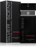 Jacques Bogart Silver Scent Intense toaletna voda za moške 100 ml