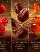 Jawhara Sweet Dates parfumska voda uniseks 100 ml
