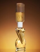 Jean Paul Gaultier Gaultier Divine parfumska voda za ženske 30 ml