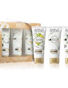 Jeanne en Provence Olive/Jasmine/Verbena set za roke in nohte