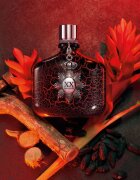John Varvatos XX Intense parfumska voda za moške 75 ml
