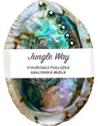 Jungle Way Abalone Shell držalo za kadilne palčke 1 kos