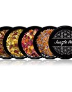 Jungle Way Discovery set Balance Your Space kadila