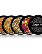Jungle Way Discovery set Elevate Your Routine kadila