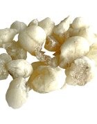 Jungle Way Oman Hojari White Royal kadilo 20 g