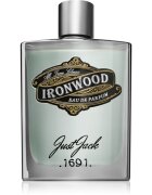 Just Jack Ironwood parfumska voda za moške 120 ml