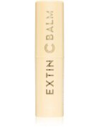 KAHI Extin C Balm Stick vlažilni balzam za posvetlitev in zgladitev kože 9 g