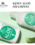 Kallos KJMN Professional Aloe obnovitveni šampon z aloe vero 1000 ml