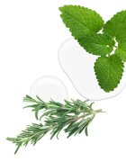 Kallos KJMN Professional Rosemary regeneracijsko in zaščitno olje za poškodovane lase in razcepljene konice 50 ml