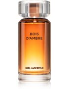 Karl Lagerfeld Bois d´Ambre toaletna voda za moške 100 ml