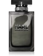 Karl Lagerfeld for Him toaletna voda za moške 100 ml