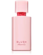 Kenneth Cole Blush parfumska voda za ženske 100 ml